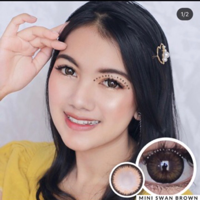 mini Swan Gray brown softlens original korea