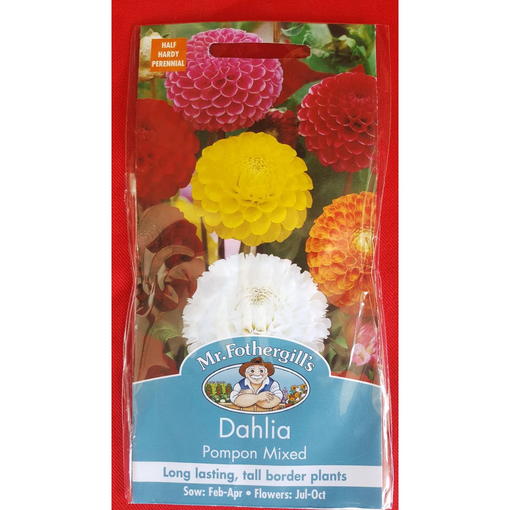 Jual Pack 50 Benih Bibit Bunga Dahlia Pompon Mixed Mr Fothergill s Stock Terbatas