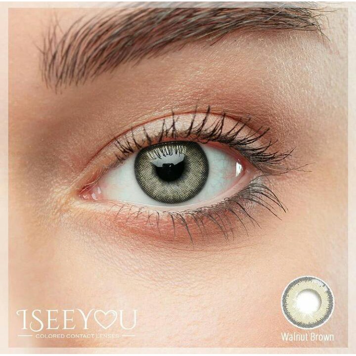 SOFTLENS I SEE YOU WALNUT BROWN (-0.50 S/D -6.00)