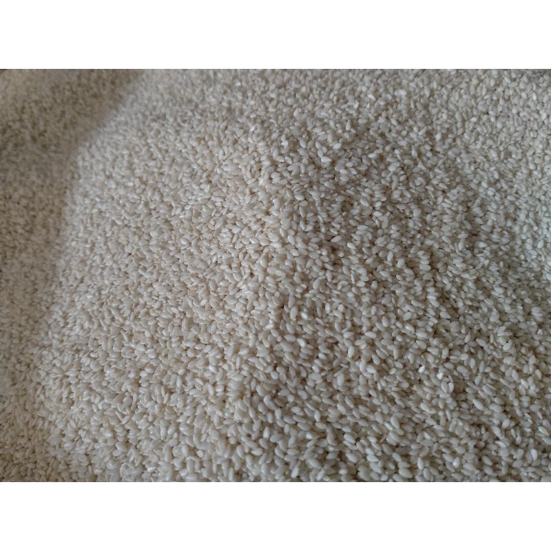 

WIJEN PUTIH 100 gr/ 250 gr/ 500 gr/ 1 kg