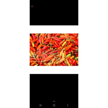 

Caberawitmerah