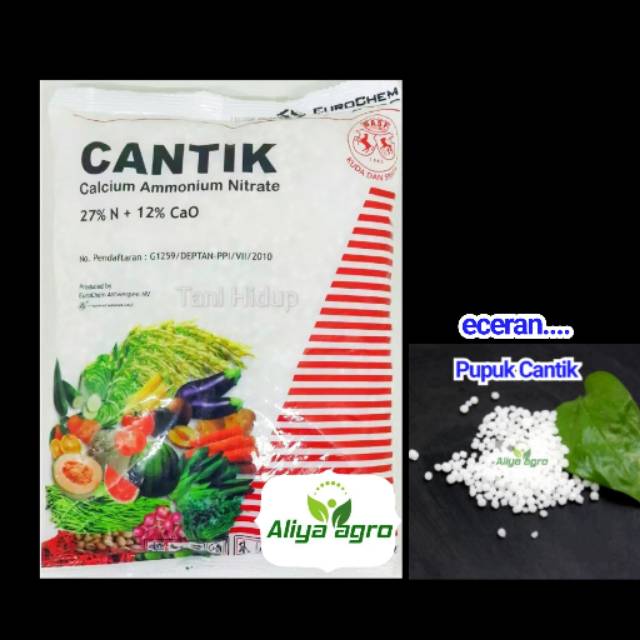 Pupuk cantik calsium amonium nitrate