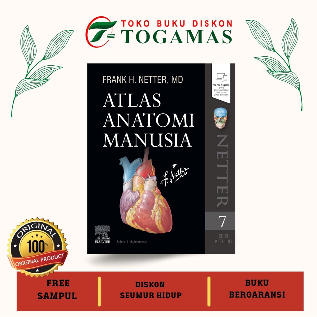ATLAS ANATOMI MANUSIA ED. 7 - NETTER - ORIGINAL