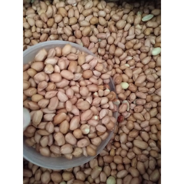 

kacang tanah berat 1kg