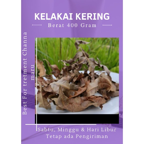 Kelakai Kering 400 Gram