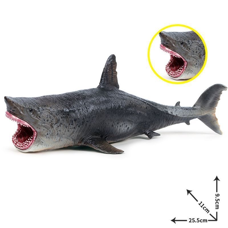 Mary Realistis Megalodon Figurine Mainan Model Hewan Laut Untuk Kolektor Hobi Anak