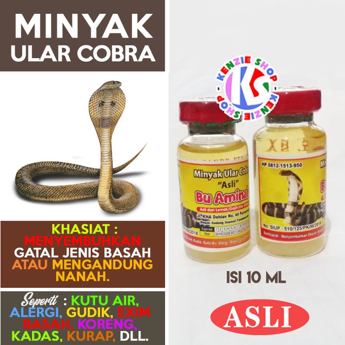 Minyak Ular Kobra Obat Gatal Kulit Basah Berair Eksim Minyak Ular Cobra Asli