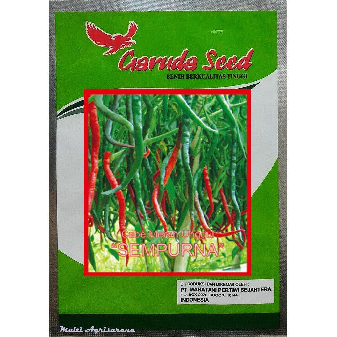 BIBIT CABE MERAH UNGGULAN