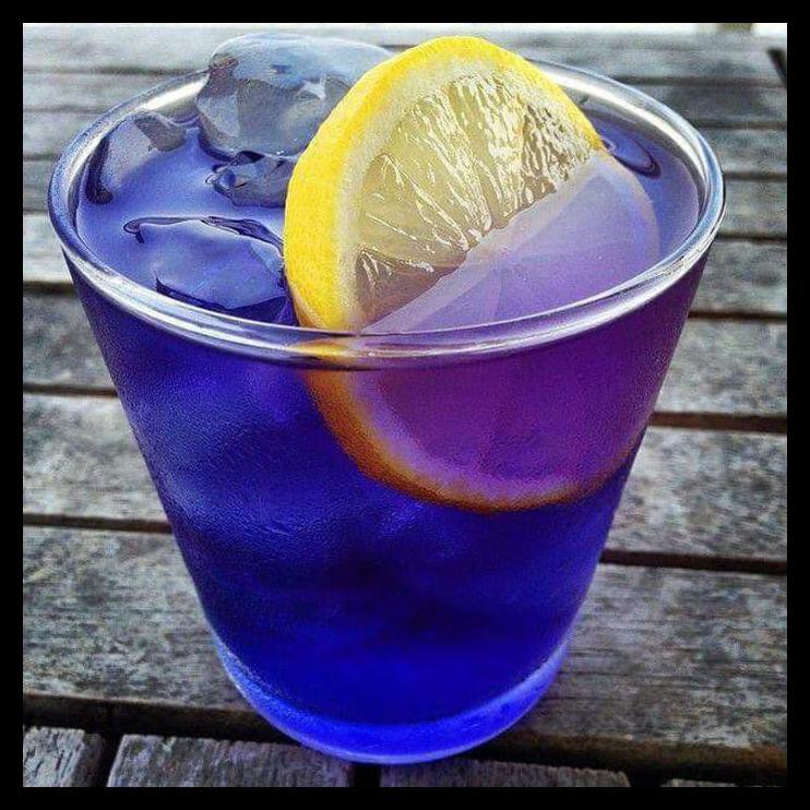 

Cuci Gudang Teh Biru Murni Summafam - Bunga Telang Kering - Pure Organic Blue Tea