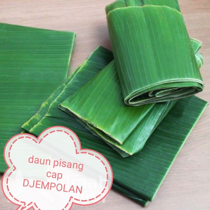 

daun pisang segar petik kebun untuk bungkus nasi jajan kue makanan snack pembungkus alas lembaran lembar godong gedang banana leaf