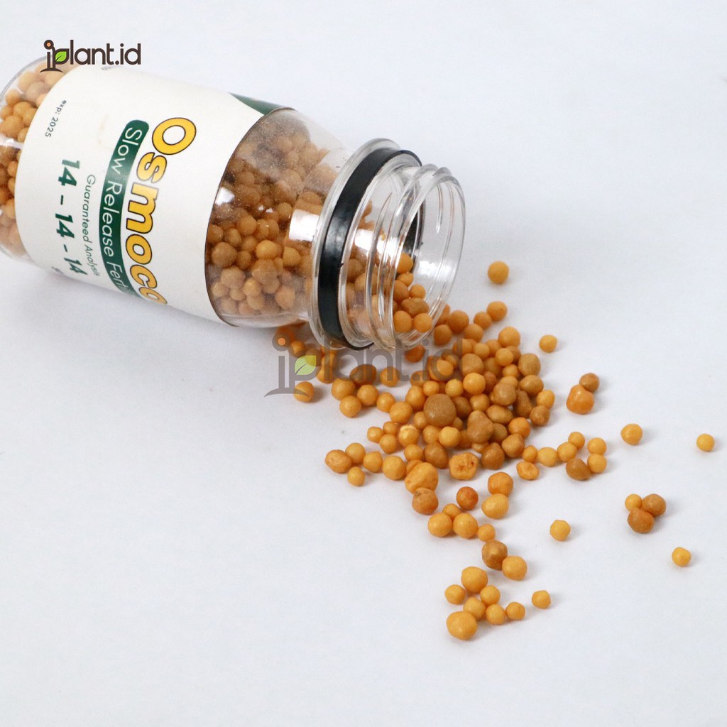 Pupuk Kaktus Sukulen Osmocote 14-14-14 (Slow Release Fertilizer)