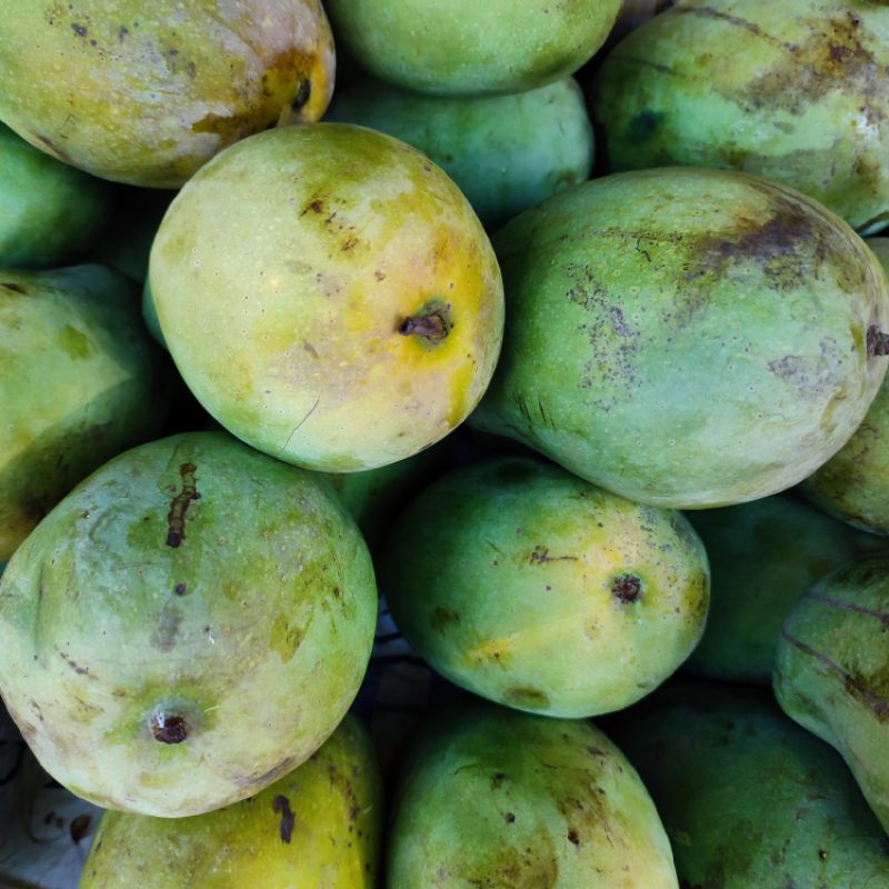 

Mangga Harum Manis 1kg