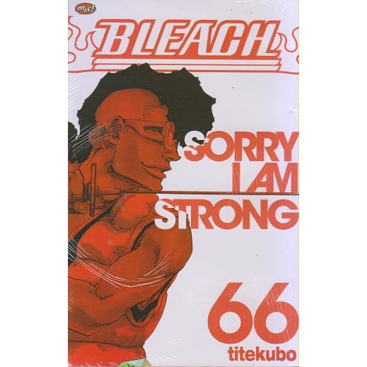 PROMO BLEACH 66