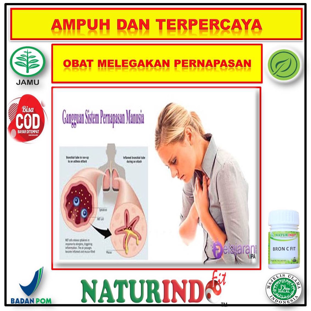 Jual Obat Batuk Berdahak Bronchitis Flu Pilek Obat Batuk Sesak Napas