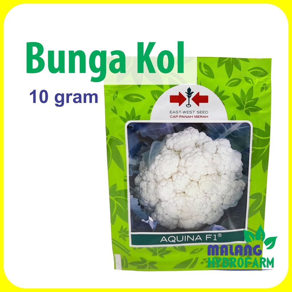 Benih Bunga Kol Aquina F1 10 gram panah merah bibit sayur kembang hijau putih hidroponik biji datara