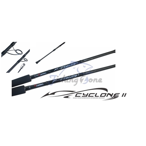 Eupro CYCLONE II Surf Spinning Rod