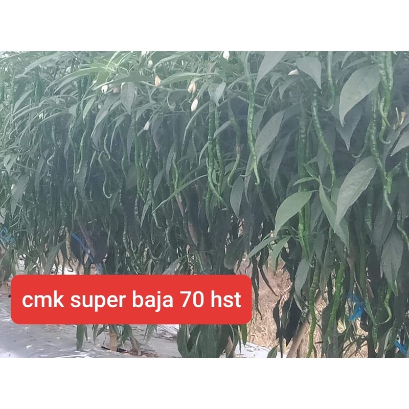 cmk super baja premiun ( Kemasan baru )