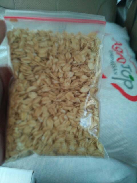 Oat meal regular rolled oat sak karungan