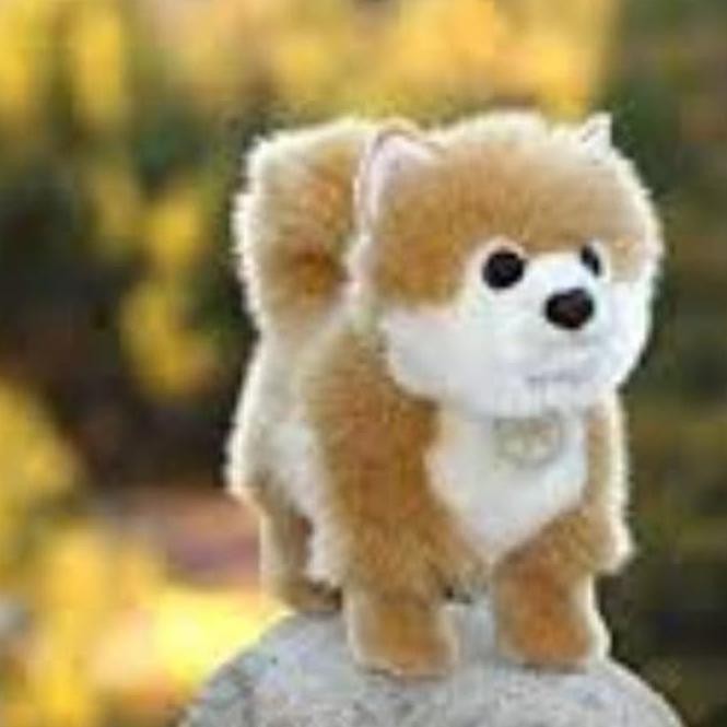 Terjamin Boneka Anjing Pom Coklat Shopee Indonesia