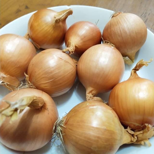 

Bawang Bombay New Zealand kemasan 1 kilogram segar. Sangat murah untuk keluarga, restoran, martabak