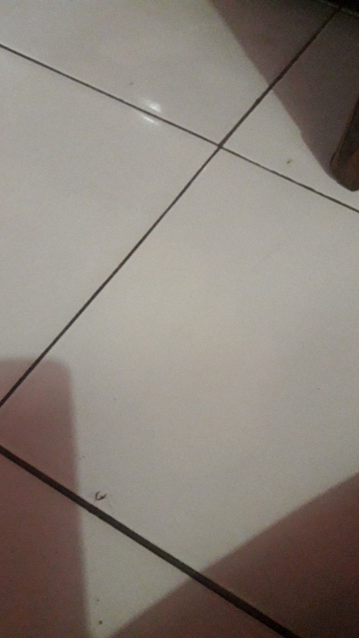 Slot Pintu Rumah / Grendel Pintu Rumah Aluminium Termurah 4