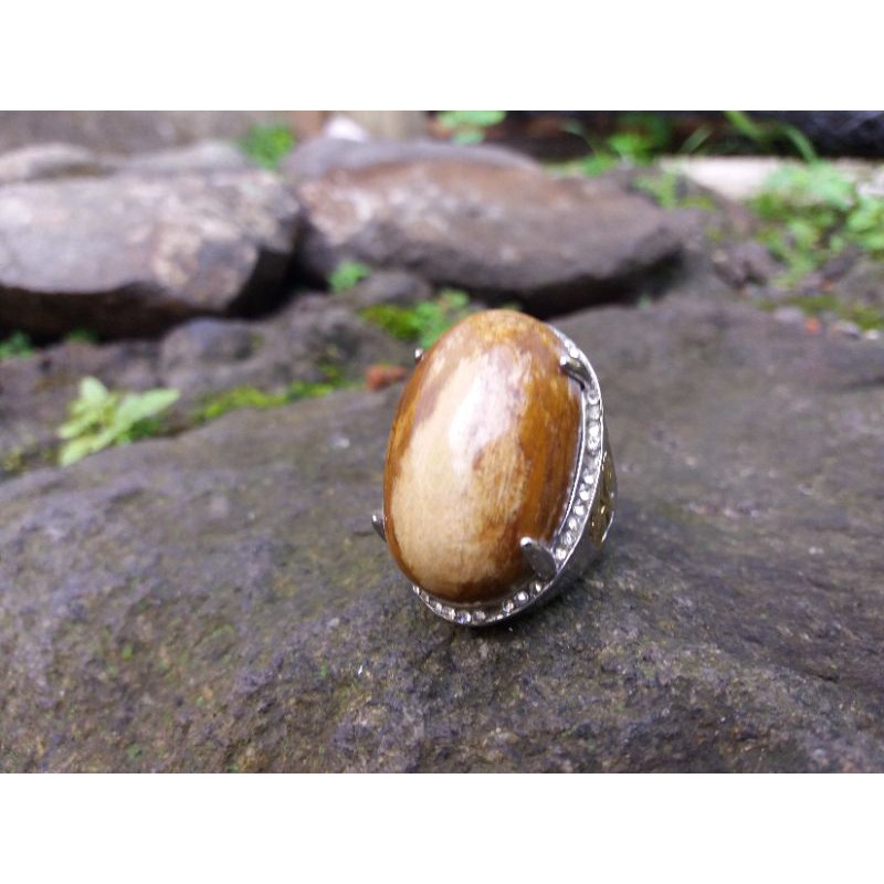 Natural Batu Akik Fosil Kayu