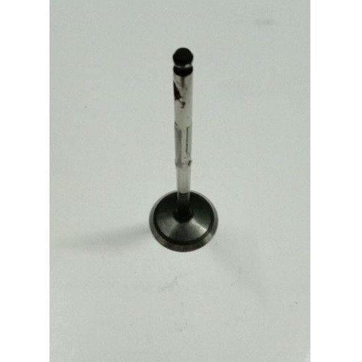 klep minyak Valve in Avanza Xenia 1.3 original