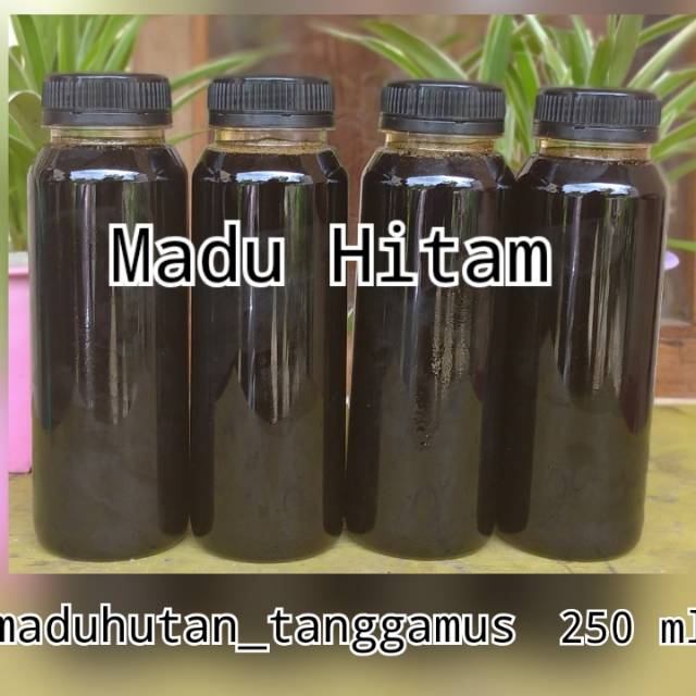 

Madu Hitam