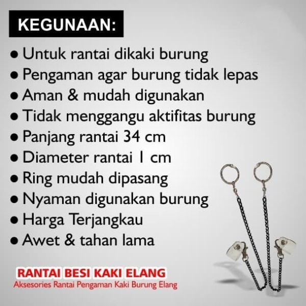 Rantai Besi Kulit Pengaman Kaki Elang Burung Hantu Ukuran 34 x 1.5 cm