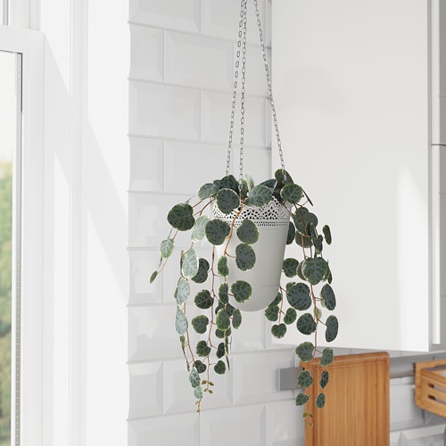 FEJKA Tanaman tiruan dalam pot, digantung string of hearts, 9 cm