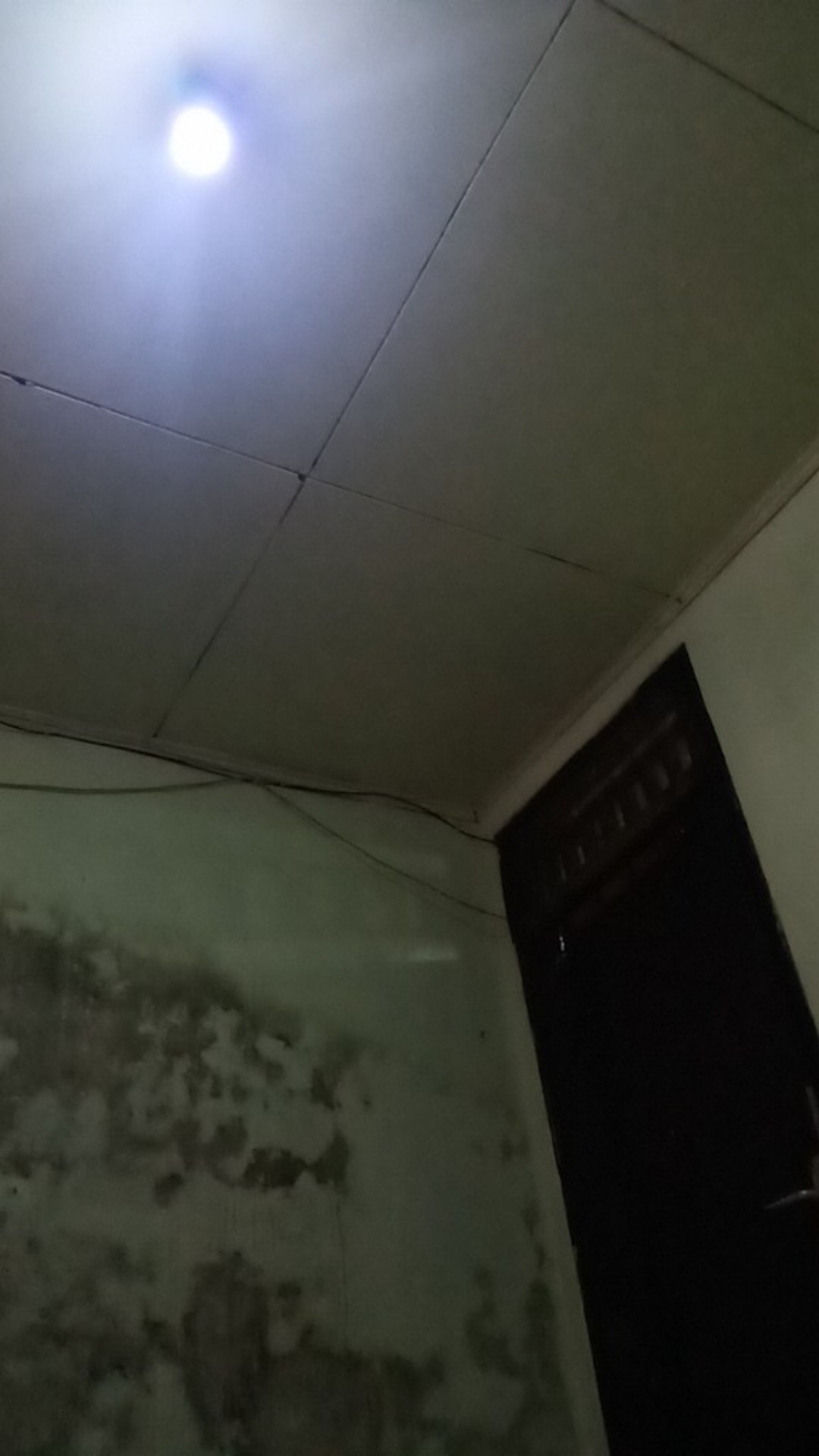 500zv Standing Pouch + Valve + Zip Alu Foil 250 G Roasted Bean Packing