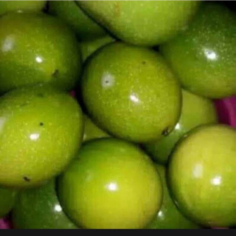 

JUAL BUAH MARKISA SEGAR PER 100g