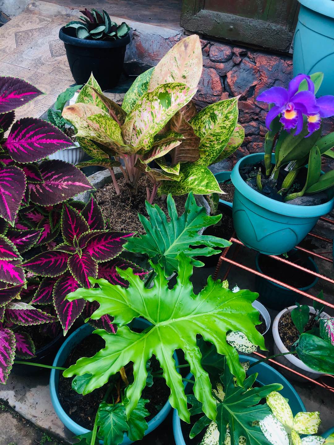 Pengiris Keripik Dan Bumbu Dapur Serbaguna