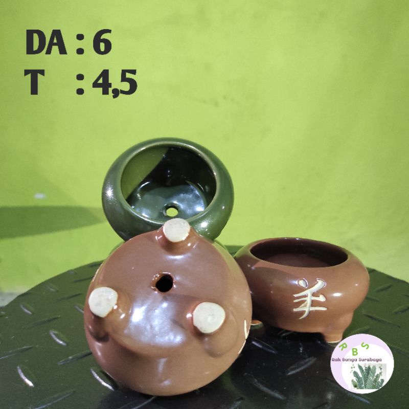 Pot Bonsai Mame Shito Keramik