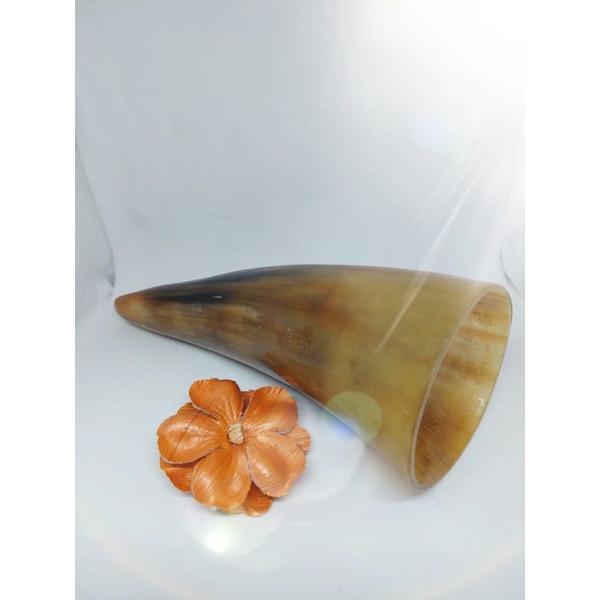 ALAT KOP BEKAM ASLI TANDUK