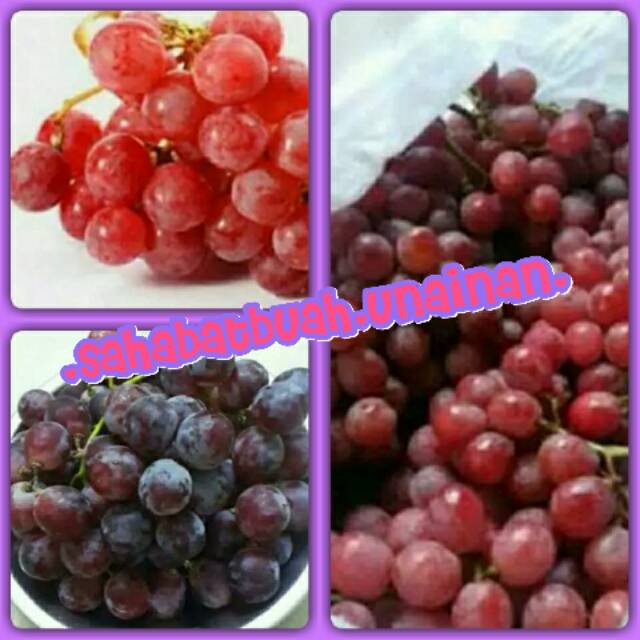 

Anggur merah#buah#vitamin C
