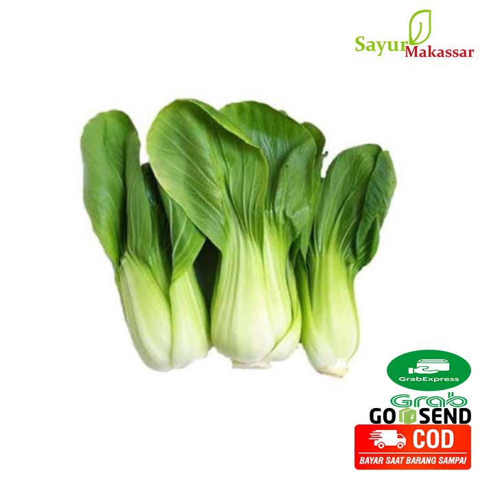 

Pakcoy 1 kg / Sawi daging / Packcoy Sayur Sayuran Segar Makassar