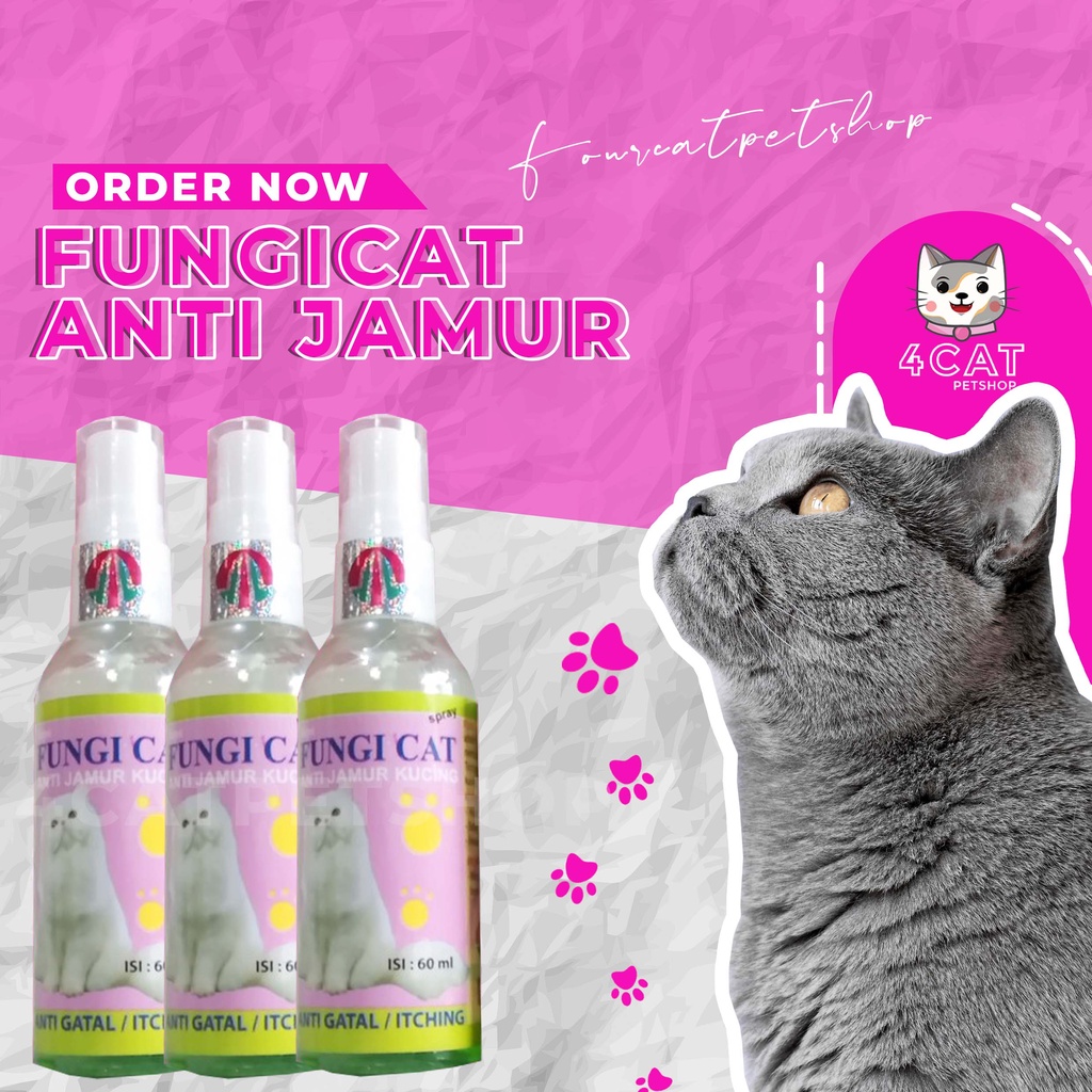 Jual Fungicat Obat Anti Jamur Kucing Shopee Indonesia