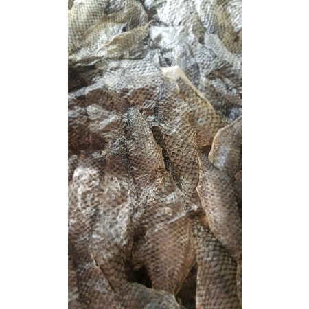 

Kulit Kakap Nila Kering Mentah