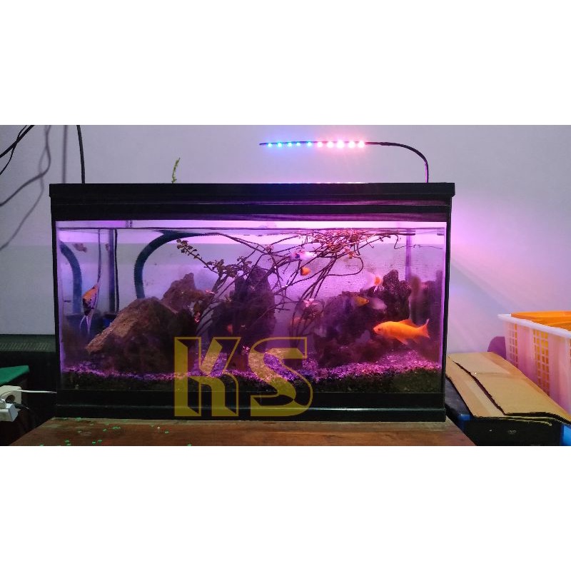 lampu aquarium 10 mata pink biru lampu akuarium jepit colokan usb
