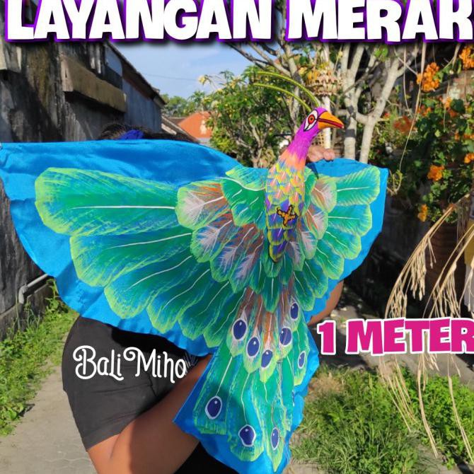 620 Koleksi Gambar Burung Merak Bali HD Terbaru