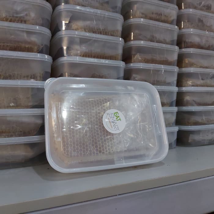 

MADU SARANG JENIS LEBAH APIS MELLIFERA