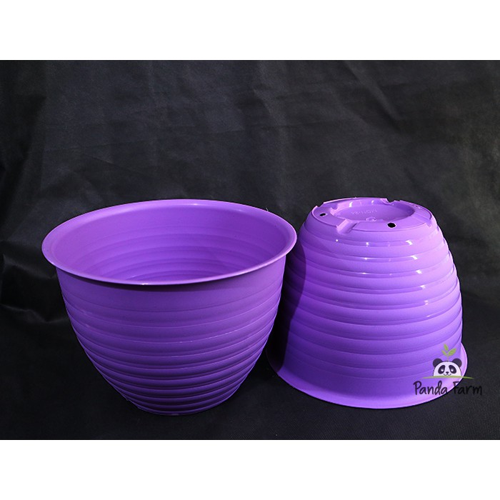 POT Bunga Tawon Cantik MDN 21 Ungu - diameter 21