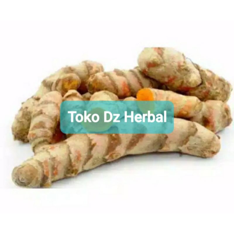 

JUAL Kunyit segar 1 kg / kunir bumbu-az