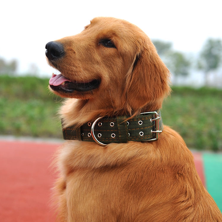 ★〓YUFeiPet〓★Golden Pet Collar Four-layer Thick Nylon Woven Double-breasted Large Dog Collar Dog Collar Cat Collar Pet Supplies