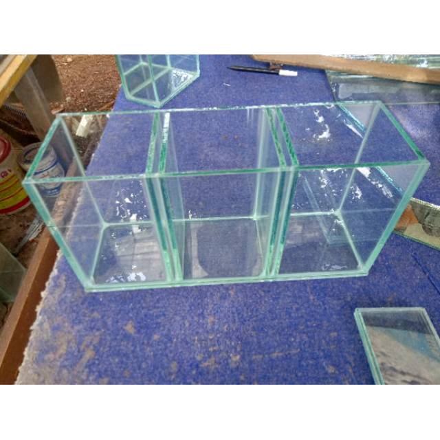 Soliter cupang sekat 3 soliter cupang soliter ikan cupang soliter selfie cermin daun ketapang selay