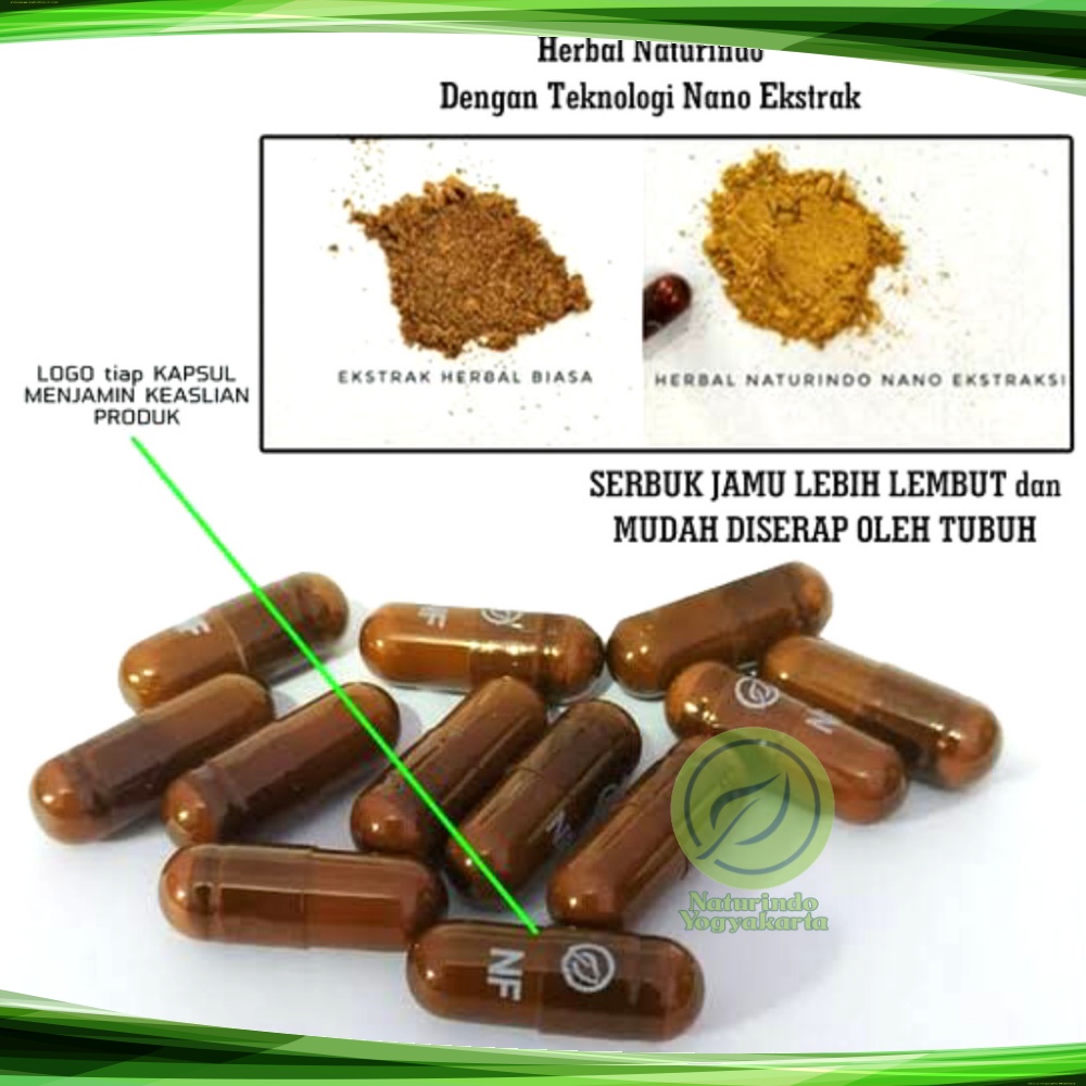 Obat Asam Lambung Maag Kronis Begah Sendawa Obat Herbal Sakit Maag Obat Asam Lambung Maag Kronis Obat Lambung Ampuh BPOM MUI Herbal MUCOSAFIT Naturindo Yogyakarta Jamu Tradisional Alami Terdaftar BPOM bisa COD Isi 40 Kapsul-3