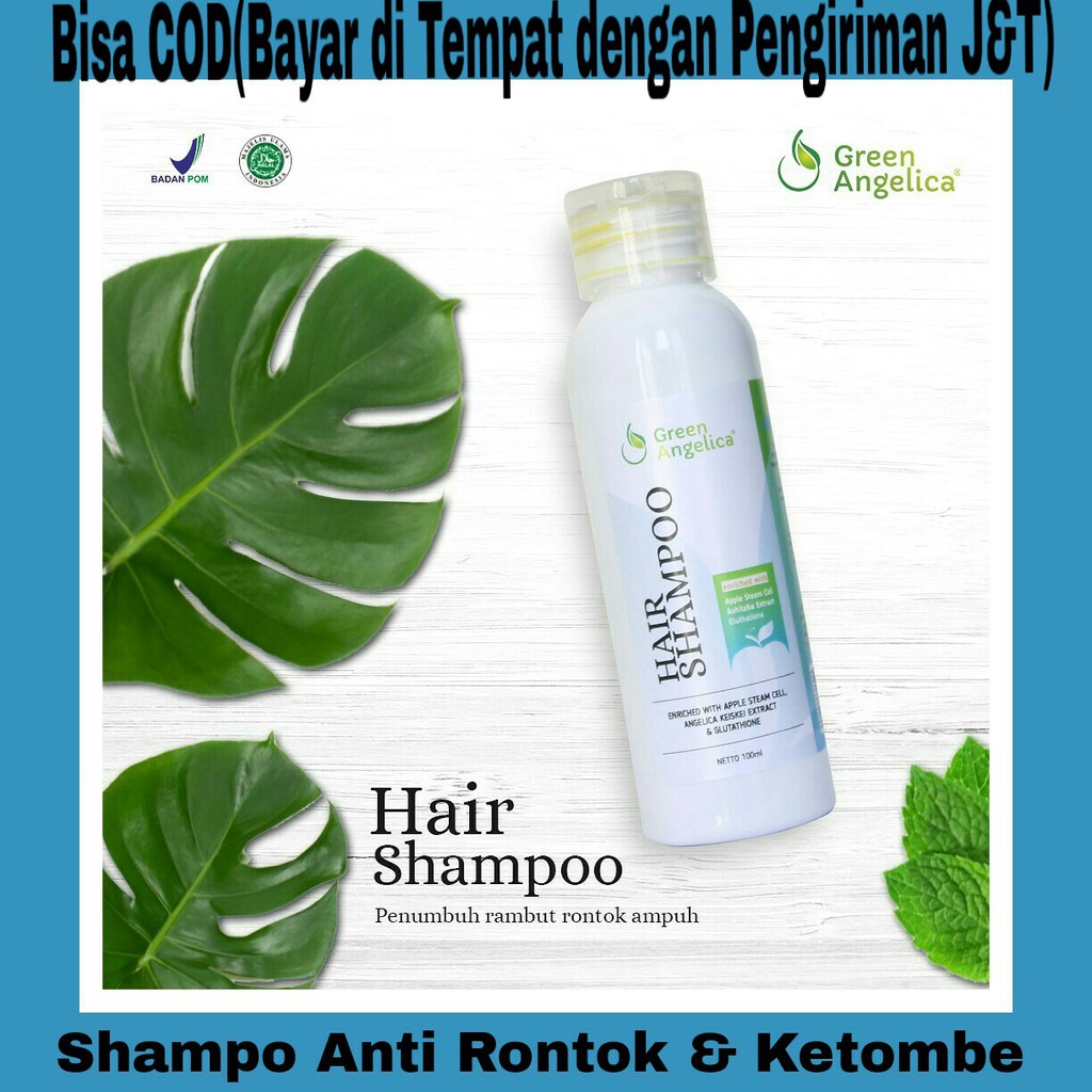 Ketombe Bikin Rambut Rontok : Punya masalah ketombe dan rambut rontok