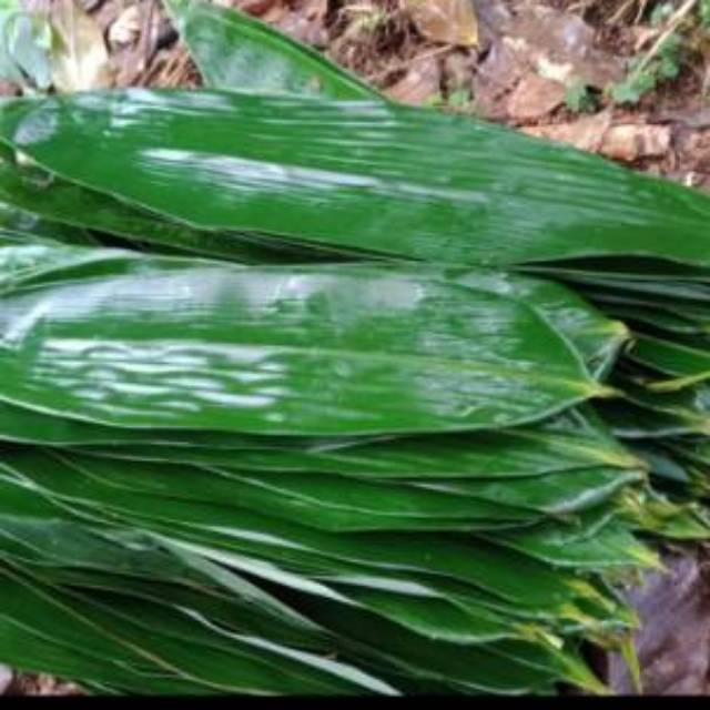 

[PROMO] Daun Bambu Segar Bungkus Bakcang Bacang Daun Lebar dan Organik