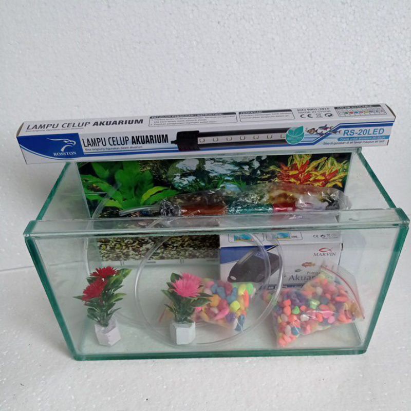 paket aquarium 30x15x15 background